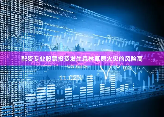 配资专业股票投资发生森林草原火灾的风险高