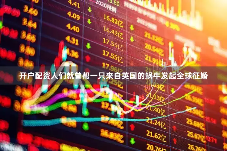 开户配资人们就曾帮一只来自英国的蜗牛发起全球征婚